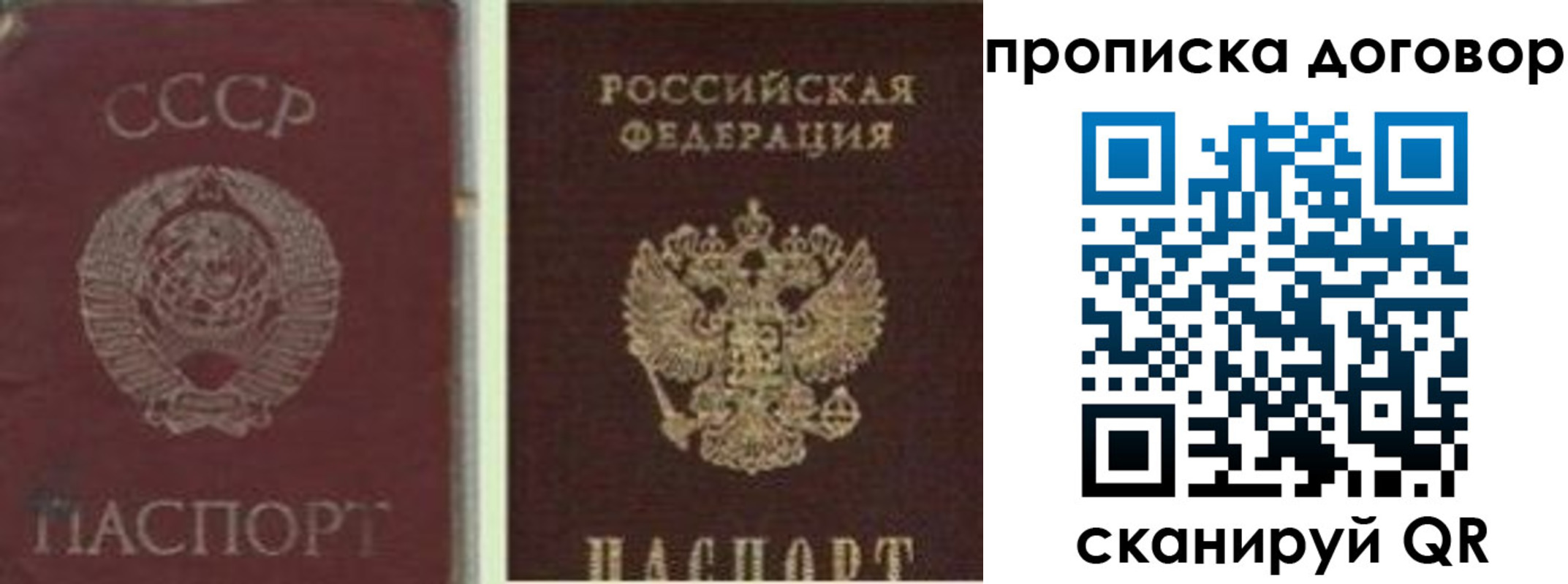прописка гарантия в Клинцах